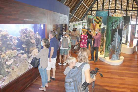 Un écomusée pour découvrir la biodiversité de Polynésie