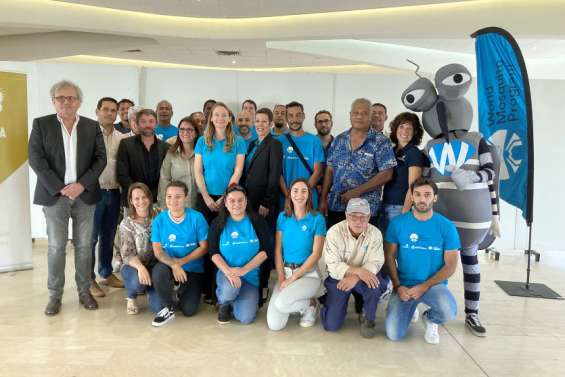 [VIDEO] Nouméa est-elle en passe d'éradiquer la dengue ? 