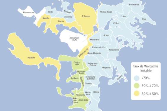 Comment ça marche ?