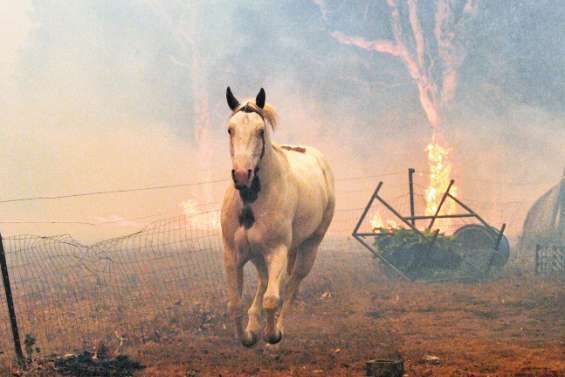 Le changement climatique va aggraver les phénomènes météo