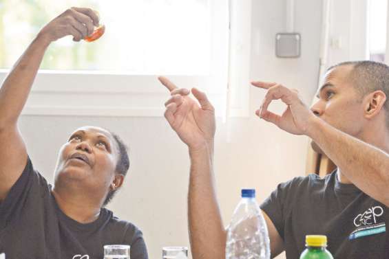 Le miel, sous toutes ses coutures