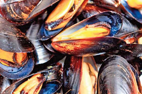 Moules taxées : le gouvernement doit rembourser 15 millions