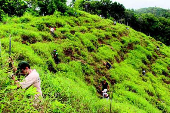 Opération de reboisement à la tribu de Napoémien