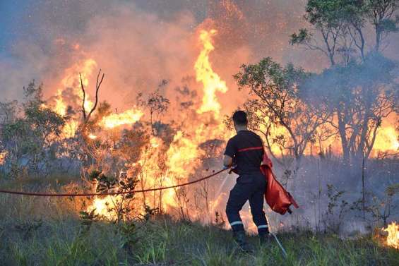 2017, une année de feux destructeurs