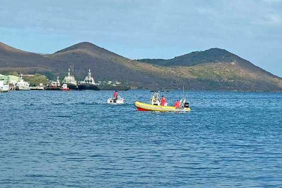 De nouveaux requins ont été abattus