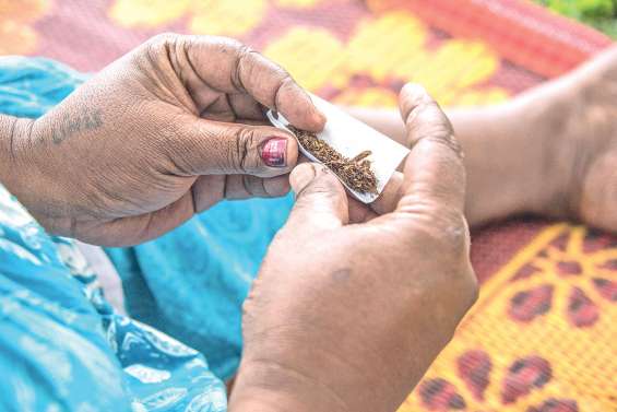 Le tabac à rouler dans le collimateur
