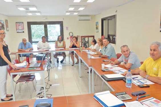 TGC : le cas des artisans