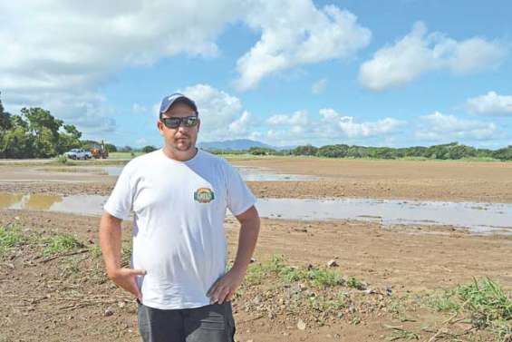 Trois tonnes de semences et un mois de travail à l’eau