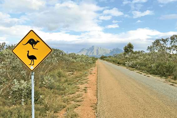 Dans l’Outback, les « réfugiés du coronavirus » pris pour cible