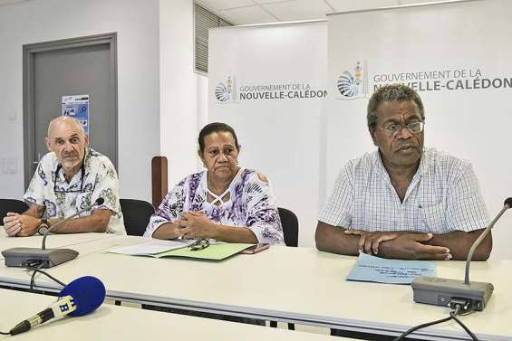 Do Kamo : un parcours santé grandeur pays