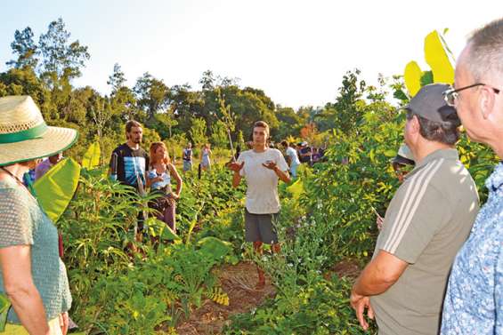 Avec le Permatour, un mois pour « réconcilier l’urbain et le paysan »