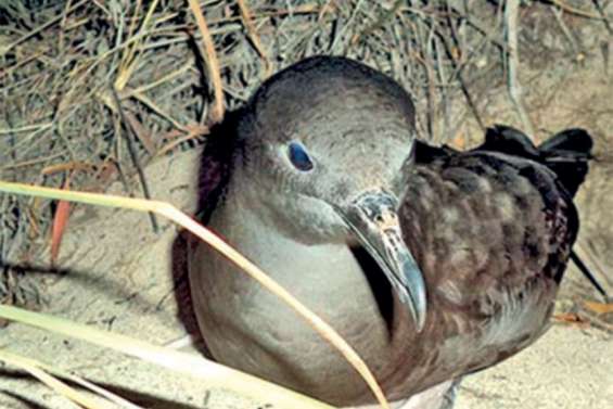 « Nous sommes dans une situation d’urgence »