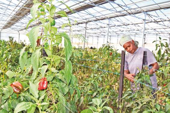 Un site de petites annonces dédiées aux produits frais