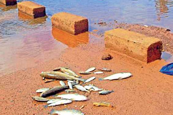 EPLP obtient deux condamnations de Vale NC