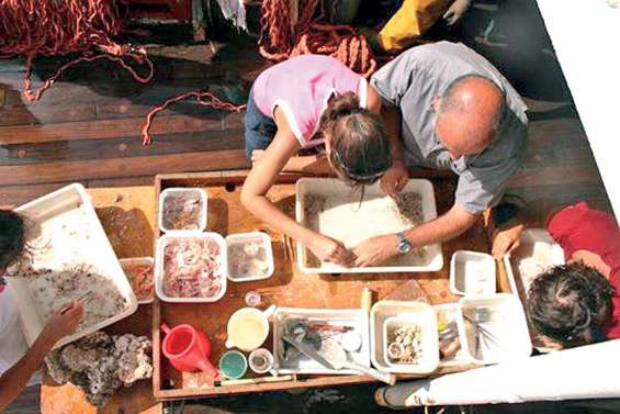 A terres rares, animaux rares