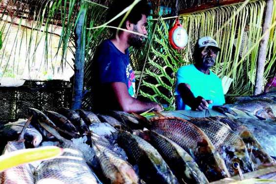 Les produits de la mer célébrés à Goro