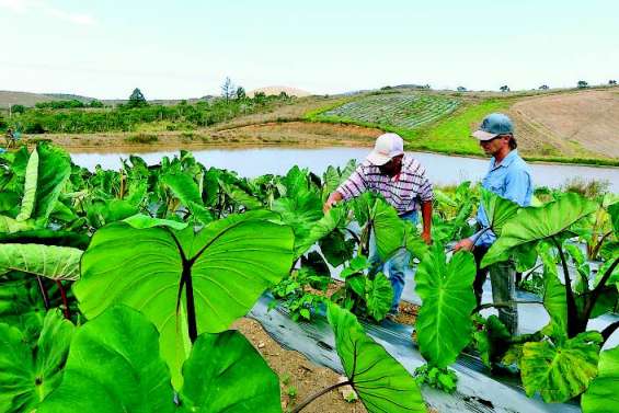 L’Agence rurale lance un appel à projets innovants