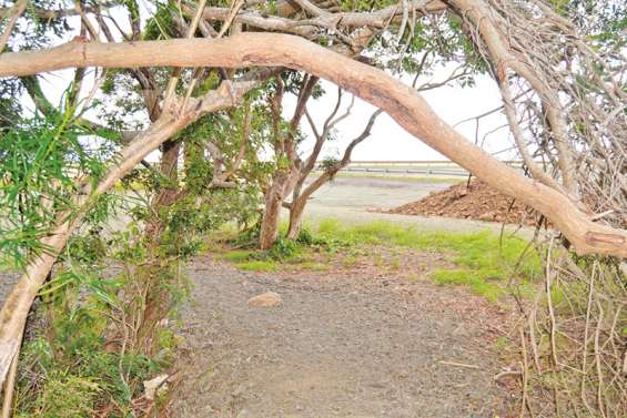 La promenade de Boulari devrait être achevée en fin d’année
