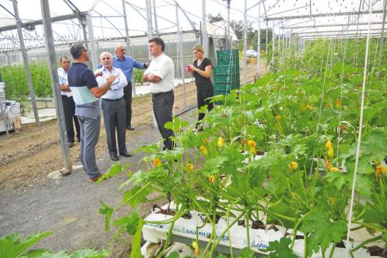 La journée broussarde du haut-commissaire