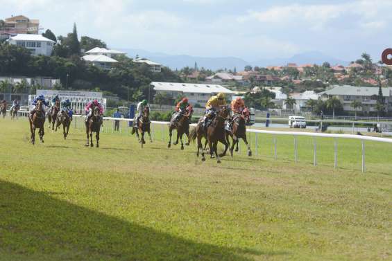Boy by Sea met un coup de vieux à la concurrence