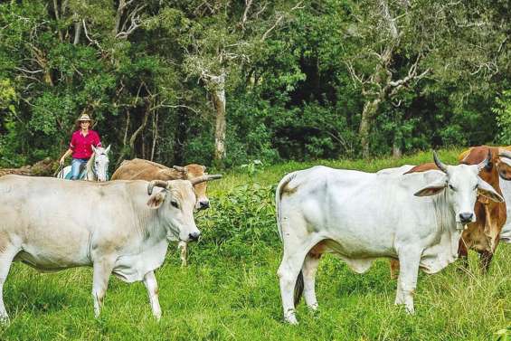 La ferme Néméara ouvre grand ses portes au public
