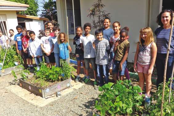 Faire un jardin à l’école, ce n’est pas du cinéma