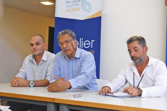 Nos stocks de poissons font de la résistance