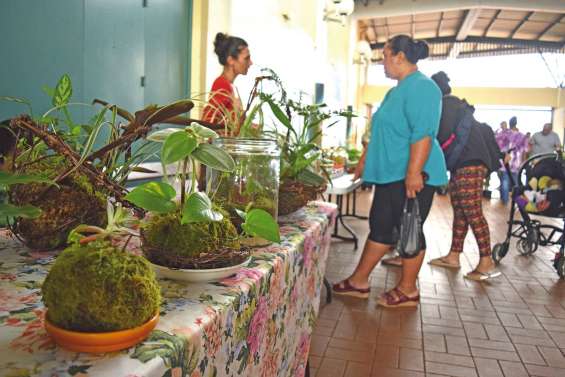 Seize stands de la commune et de Yaté s’exposaient au Dock samedi
