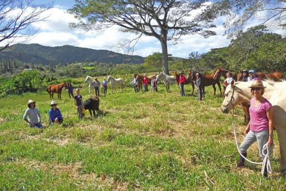 Cavalier et cheval  réapprennent à communiquer