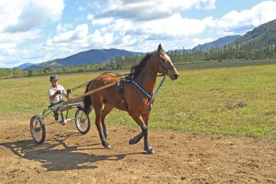 Yannick Ollivier, le gentleman driver