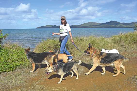 Quand vos toutous  se baladent sans vous