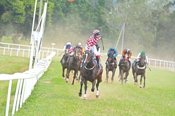 Les pur-sang font leur retour en Brousse