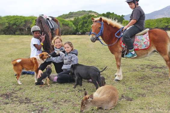 Découverte de la vie à la ferme