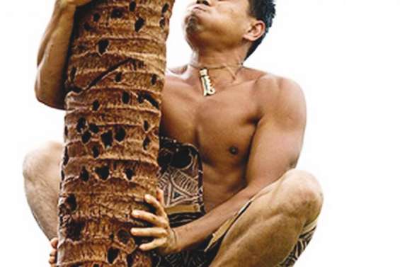 Le ta’uma haari,la discipline qui monte