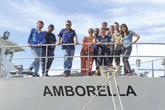 Sur les traces des baleines à bosse