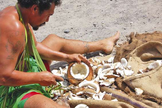 Le cours de l’huile de coprah explose