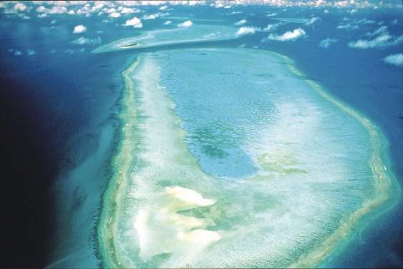 Mine géante Adani : les écologistes déboutés