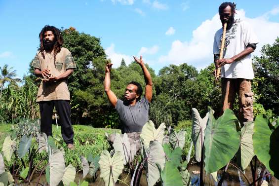 « Passer de la forêt vraie  à la forêt virtuelle »
