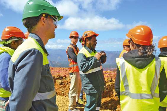 Un gisement de curieux  sur le site minier de Népoui