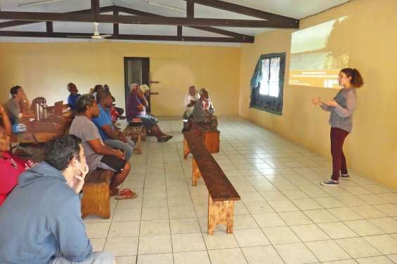 Le rivage des Loyauté analysé par une étudiante