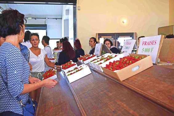 Le marché Broussard a été bien reçu aux Fraisiers