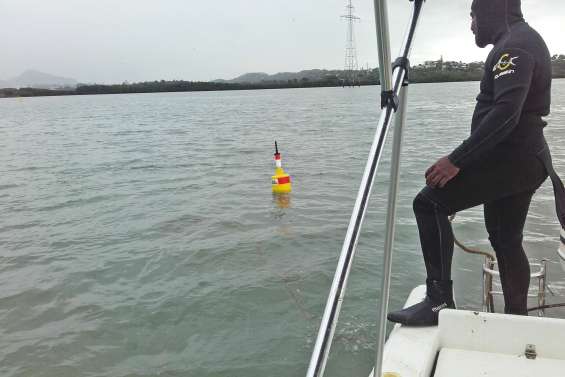 Une bouée pour contrôler les eaux de la station d’épuration