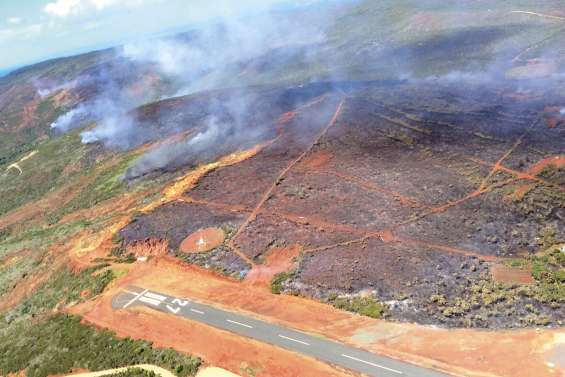 L’incendie de Bélep, coup de massue sur la flore endémique