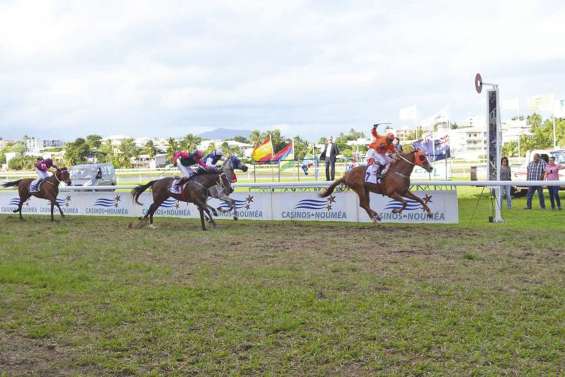 Les chevaux sont de retour à Nouméa