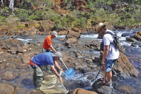 Percer les mystères des rivières