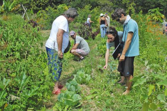 La permaculture veut convaincre