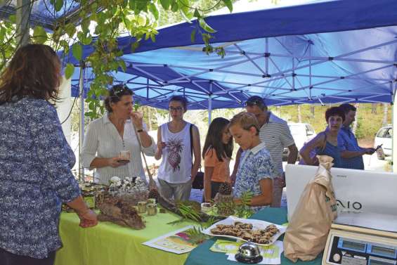 De savoureux champignons à la Fête de la gastronomie