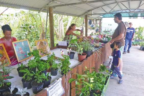 Les fleurs à l’honneur