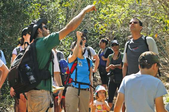 Une sortie nature conviviale à Pindaï