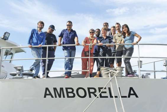 L’IRD a équipé des baleines à bosse de balises